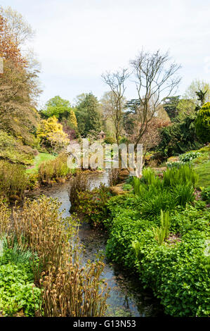 Dell, ein Teil der Gärten von Sandringham House in Norfolk. Stockfoto