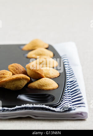 Französische Madeleines Cookies. Selektiven Fokus. Stockfoto