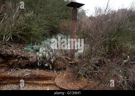 Auswirkungen der Küstenerosion, Bawdsey Fähre, Suffolk, UK. Stockfoto