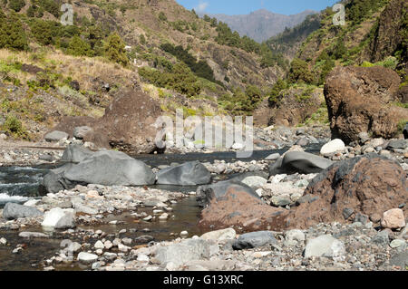 Bachbett in der Schlucht Barranco de Las Angustias, Tal der Angst, zwischen Caldera de Taburiente und die Küste auf der Insel Stockfoto