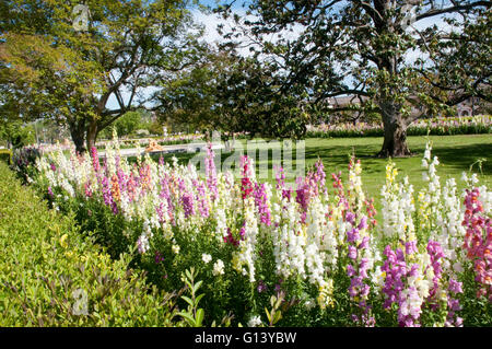 Jardines De La Isla. Aranjuez, Madrid-Segovia, Spanien. Stockfoto