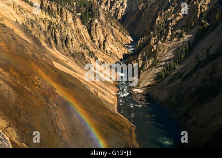 WYOMING - Rainbow vom Rand des unteren fällt der Yellowstone River im Grand Canyon des Yellowstone; Yellowstone Natl Park Stockfoto