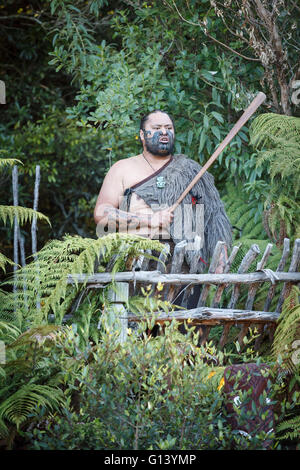 Maori-Chief Stockfoto