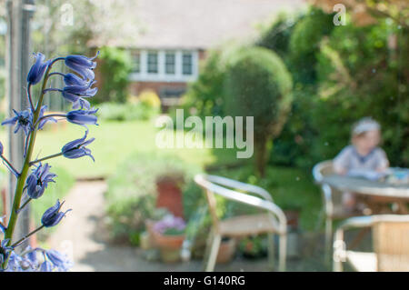 Garten-Szene in einem Fenster an einem Sommertag aus betrachtet Stockfoto