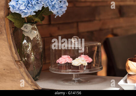 Rosa und weiße Cupcakes sitzen auf eine offene Fensterbank in eine gewölbte Glas-Platte mit einer Blaue Hortensie in einer Vase daneben. Stockfoto