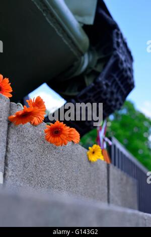 Berlin, Deutschland. 8. Mai 2016.At 8. Mai 1945 das deutsche Nazi-Reich kapitulierte nach einem 5 Jahre lang Krieg. 71 Jahre später erinnern Menschen an diesem Tag durch die Festlegung von Blumen an das Sowjetische Ehrenmal in Berlin-Tiergarten. Bildnachweis: Marcus Krauss/Alamy Live-Nachrichten Stockfoto