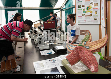 Brüssel, Belgien. 8. Mai 2016. Aktivitäten in Brüssel Park während der traditionelle Tag der Iris und Food Truck Festival am 8. Mai 2016 in Brüssel, Belgium.Exposition der Freien Universität Brüssel ULB Credit: Skyfish/Alamy Live News Stockfoto