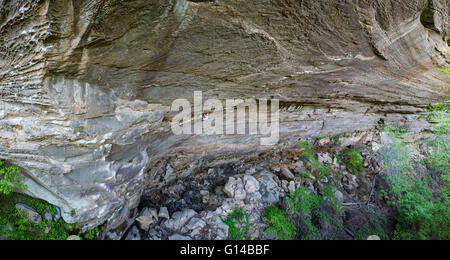 Eine männliche Kletterer am Samstag, 7. Mai 2016 an den Red River Gorge in Kentucky. Jacob Kupferman/CSM Stockfoto