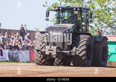 Deutsche Claas Xerion Traktor fährt planmäßig auf ein Motortechnic-fest am 5. Mai 2016 in grimmen / Deutschland Stockfoto