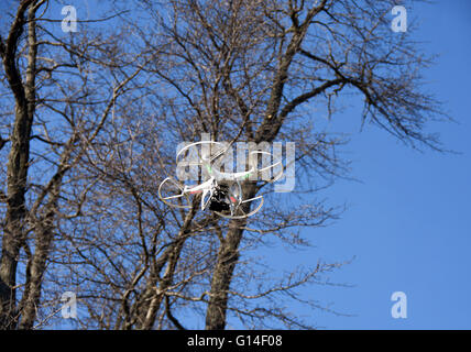 Weiße Drohne mit Kamera im Frühjahr Bäume mit leuchtend blauen Hintergrund schweben. Stockfoto