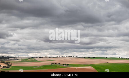 Grüne bebaut Felder gegen trübe Gewitterhimmel Stockfoto