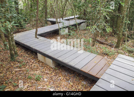 Holzsteg im Wald, Nationalpark Khao Yai, Thailand Stockfoto