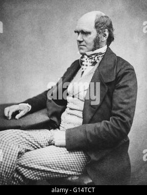 Charles Robert Darwin (1809-1882) war ein englischer Naturforscher. Er gründete, dass alle Arten von Leben im Laufe der Zeit von gemeinsamen Vorfahren abstammen, und die wissenschaftliche Theorie, dass diese Verzweigung Muster der Evolution aus einem Prozess, daß er geführt Stockfoto