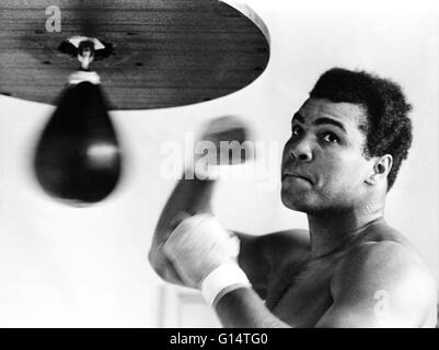 Muhammad Ali (17. Januar 1942) ist ein US-amerikanischer ehemaliger Profi-Boxer, Philanthrop und sozialer Aktivist. Ursprünglich bekannt als Cassius Clay, er gewann sechs Kentucky Golden Gloves Titel, zwei national Golden Gloves Titel, ein Amateur Athletic Union nationale Stockfoto