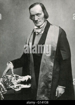 Richard Owen (1804-1892) war ein englischer Biologe, vergleichender Anatom und Paläontologe am besten für prägen das Wort Dinosauria (Bedeutung schreckliche Reptil oder ängstlich große Reptil) erinnert. Er war Hunternian Professor am Royal College of Surgeons Stockfoto