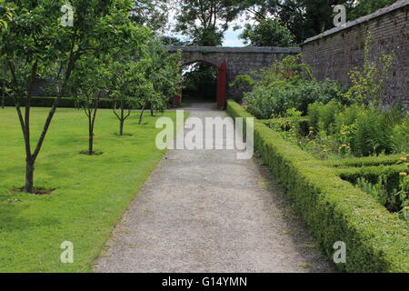 Duckett Grove House, ein 19. Jahrhundert große Hausruine und ehemaligen Gutshof in County Carlow, Irland. Stockfoto