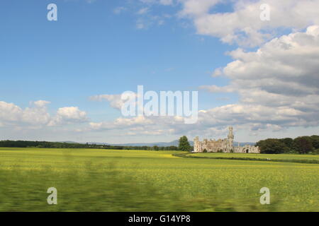 Duckett Grove House, ein 19. Jahrhundert große Hausruine und ehemaligen Gutshof in County Carlow, Irland. Stockfoto