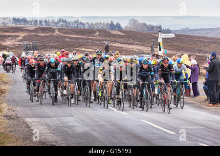 Tour de Yorkshire 2016, das Hauptfeld oder Hauptfeld der Fahrer racing bis Blakey Ridge über Farndale, North York Moors National Par Stockfoto