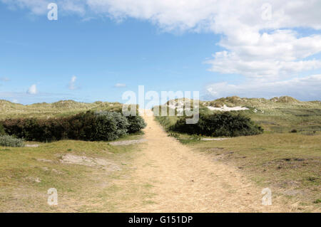 Dünen der niederländischen Wattenmeer Insel Ameland Stockfoto