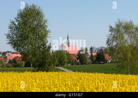 Panschwitz-Kuckau-Sachsen Stockfoto