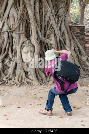 Tourist nimmt Fotos von Buddhas Kopf in Bodhi Baumwurzeln, Tempel Wat Mahathat, Ayutthaya, Thailand Stockfoto