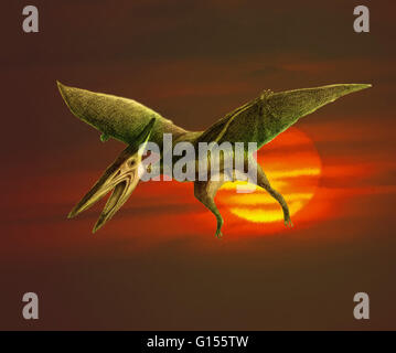 Flugsaurier Pteranodon (auch Flugsaurier), Artwork. Pteranodon war ein fliegendes Reptil, das bewohnt, was jetzt ist Nordamerika und Europa während der späten Kreidezeit zwischen 75 und 85 Millionen Jahren. Es war Fleischfresser und wohl genährt mit Fisch, Whi Stockfoto