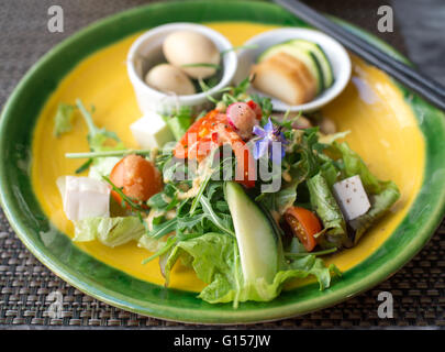 Japanische grüne Gemüse Salat und Stäbchen Stockfoto