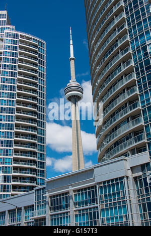 CN Tower in Toronto, Ontario, Kanada. Stockfoto