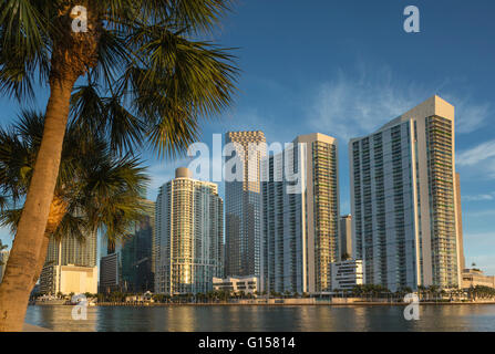 SKYLINE VON DOWNTOWN MIAMI FLORIDA USA Stockfoto