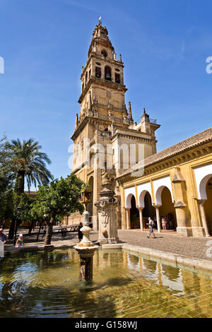 Der Glockenturm gesehen über einen Brunnen im Hof der Orange Bäume von der Moschee-Kathedrale von Córdoba, Spanien Stockfoto