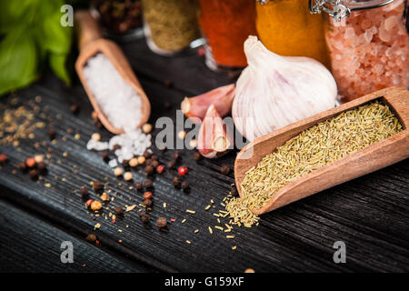 Satz von verschiedenen Kräutern und Gewürzen Stockfoto