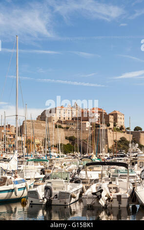 Blick auf die Zitadelle aus dem Hafen, Calvi, Haute-Corse, Korsika, Frankreich Stockfoto