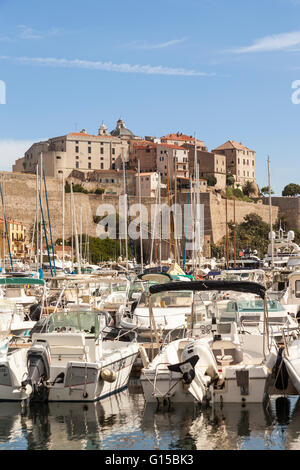 Blick auf die Zitadelle aus dem Hafen, Calvi, Haute-Corse, Korsika, Frankreich Stockfoto