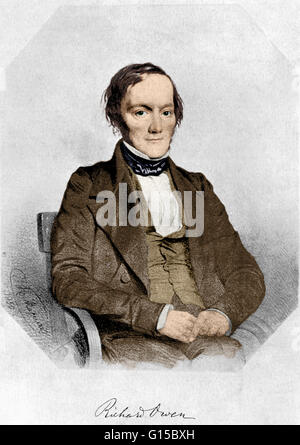 Richard Owen (1804-1892) war ein englischer Biologe, vergleichender Anatom und Paläontologe am besten für prägen das Wort Dinosauria (Bedeutung schreckliche Reptil oder ängstlich große Reptil) erinnert. Er war Hunternian Professor am Royal College of Surgeons Stockfoto