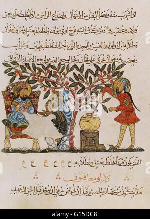 Seite aus einer 1224 arabische Ausgabe von "De Materia Medica" vom griechischen Arzt, Pharmakologe und Botaniker Pedanius Dioscorides (40-90 n. Chr.). Die Abbildung zeigt die Vorbereitung der Medizin von einer wilden Rebe. Dioscorides diente in der römischen Armee unter Stockfoto