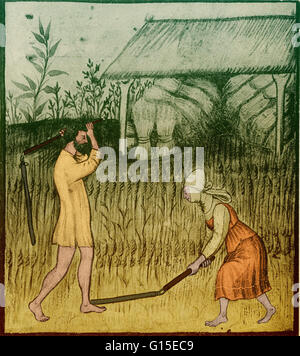 Eine Illustration der landwirtschaftlichen Praxis in der Zeit zwischen 1400. Stockfoto
