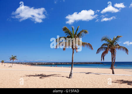 Playa de Las Teresitas Strand, San Andres, Teneriffa, Kanarische Inseln, Spanien, Europa Stockfoto