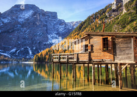 Holzhütte und bunte Wälder spiegeln sich im Pragser Wildsee, natürlichen Park von Fanes Sennes, Bozen, Trentino-Alto Adige, Italien Stockfoto