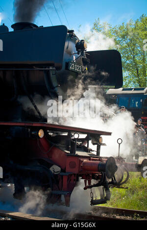 DEU, wird, Ruhr Gebiet, Bochum, Eisenbahn-Museum im Stadtteil Dahlhausen, alte Dampflok. Stockfoto