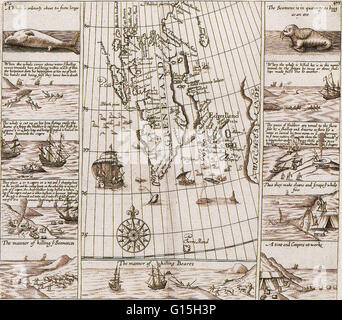 Gravur von "Purchas seine Wallfahrt" von Samuel Purchas (London, 1625). Aus dem 17. Jahrhundert Kartendetails der maritimen Wirtschaft in den Kinderschuhen stecken, zeigt die Art der Jagd Wale, Eisbären und Robben als weit nördlich als Grönland. Stockfoto