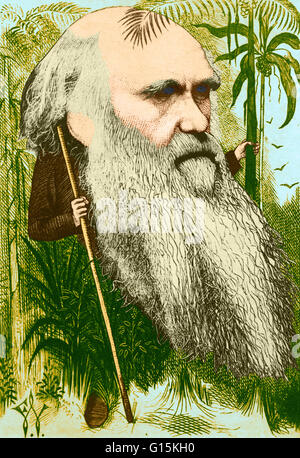 Farbe, die verbesserte Darstellung von Charles Darwin als ein wilder Mann des Dschungels dargestellt. Karikatur von F. Waddy, 1873. Charles Robert Darwin (1809-1882) war ein englischer Naturforscher. Er festgestellt, dass alle Arten von Leben im Laufe der Zeit gemeinsame ANC abgestiegen zu sein Stockfoto