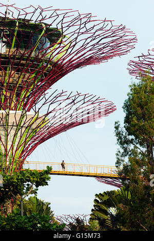 Gärten von der Bucht, Baumkronenpfad Supertree Grove, Singapur, Südostasien, Asien Stockfoto