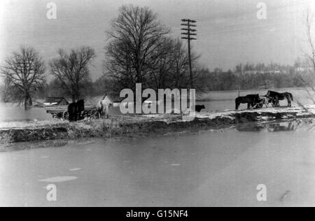 Die Ohio River Flut von 1937 fand Ende Januar und Februar 1937. Mit Schaden erstreckt sich von Pittsburgh nach Kairo, Illinois wurden 1 Million Menschen, mit 385 Tote und Sachschäden bis $ 500 Millionen ($ 8 Milliarden in 2012 Dollar obdachlos Stockfoto