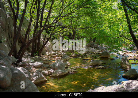 Nationalpark Paklenica, Kroatien Stockfoto