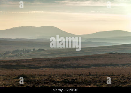 Decke-Moor-Landschaft in der Nähe von Ardara, County Donegal, Irland Stockfoto