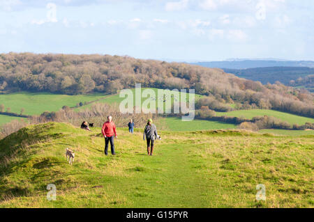 Menschen zu Fuß Hunde auf wenig Solsbury Hill, furnished, Bath, Somerset, Großbritannien Stockfoto