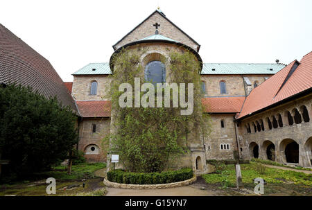 Hildesheim, Deutschland. 27. April 2016. Der Innenhof des Hildesheimer Dom mit der 1000-Jahr-alten Rosenbusch (C) in Hildesheim, Deutschland, 27. April 2016. Foto: HOLGER HOLLEMANN/Dpa/Alamy Live News Stockfoto