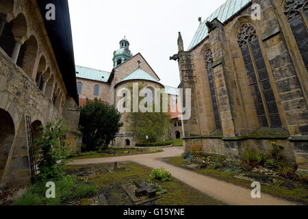 Hildesheim, Deutschland. 27. April 2016. Der Innenhof des Hildesheimer Dom mit der 1000-Jahr-alten Rosenbusch (C) in Hildesheim, Deutschland, 27. April 2016. Foto: HOLGER HOLLEMANN/Dpa/Alamy Live News Stockfoto