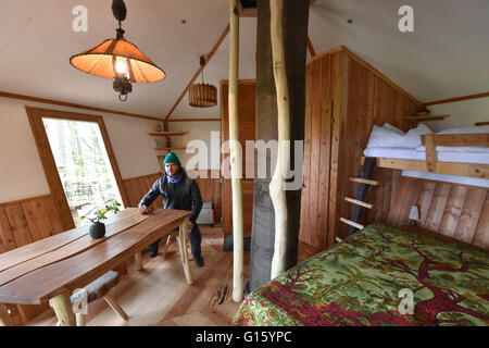 Witzenhausen, Deutschland. 29. April 2016. Geschäftsführer Peter Becker sitzt an einem Tisch im Haupthaus der Baumhaus Herberge in der Nähe von Witzenhausen, Deutschland, 29. April 2016. Foto: UWE ZUCCHI/Dpa/Alamy Live News Stockfoto