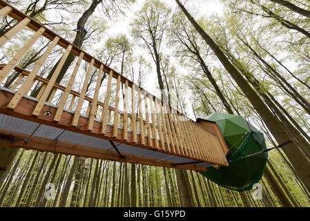 Witzenhausen, Deutschland. 29. April 2016. Eine Holzbrücke führt im Baumhaus-Bereich befindet sich in einem Wald in der Nähe von Witzenhausen, Deutschland, 29. April 2016. Foto: UWE ZUCCHI/Dpa/Alamy Live News Stockfoto